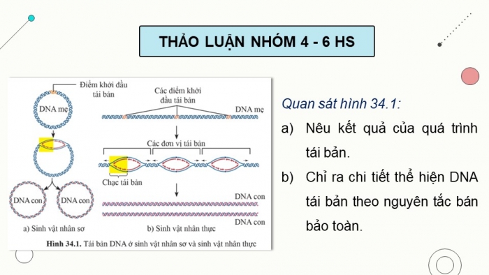 Giáo án điện tử KHTN 9 cánh diều - Phân môn Sinh học Bài 34: Từ gene đến tính trạng