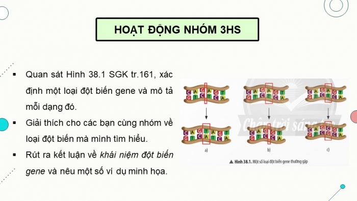 Giáo án điện tử KHTN 9 chân trời - Phân môn Sinh học Bài 38: Đột biến gene