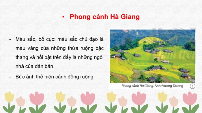 Giáo án và PPT đồng bộ Mĩ thuật 7 chân trời sáng tạo Bản 2