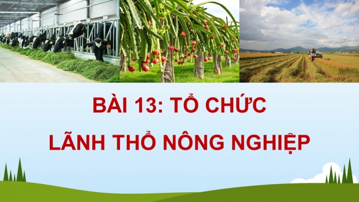 Giáo án và PPT đồng bộ Địa lí 12 kết nối tri thức