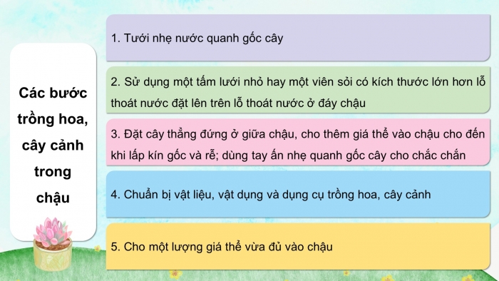 Giáo án và PPT đồng bộ Công nghệ 4 kết nối tri thức