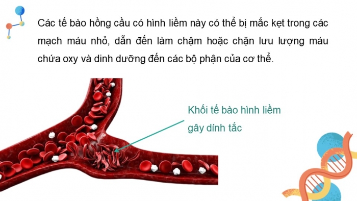 Giáo án và PPT đồng bộ Sinh học 12 cánh diều