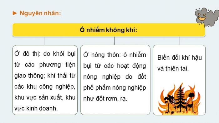 Giáo án điện tử Địa lí 12 kết nối Bài 5: Vấn đề sử dụng hợp lí tài nguyên thiên nhiên và bảo vệ môi trường (bổ sung)