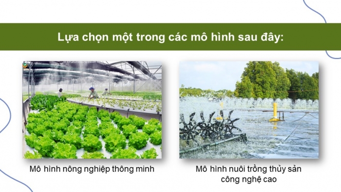 Giáo án điện tử Địa lí 9 kết nối Bài 6: Thực hành Viết báo cáo về một mô hình sản xuất nông nghiệp có hiệu quả