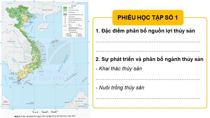 Giáo án điện tử Địa lí 9 kết nối Bài 5: Lâm nghiệp và thủy sản (bổ sung)