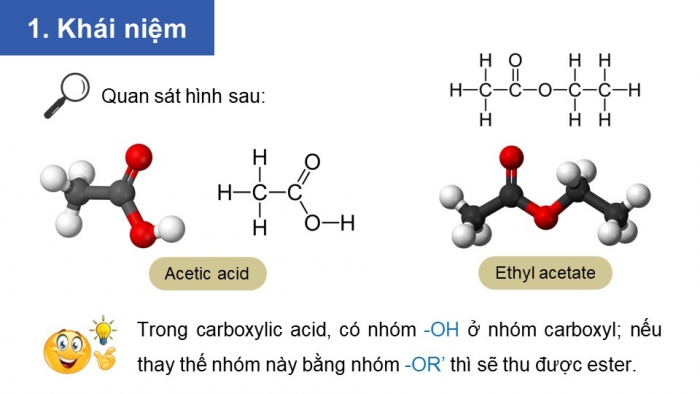 Giáo án điện tử Hoá học 12 kết nối Bài 1: Ester - Lipid