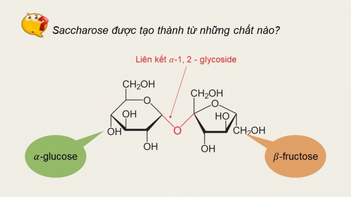 Giáo án điện tử Hoá học 12 kết nối Bài 5: Saccharose và maltose