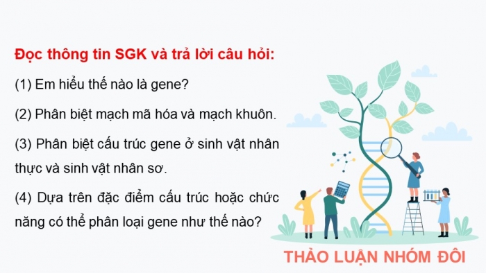 Giáo án điện tử Sinh học 12 kết nối Bài 2: Gene, quá trình truyền đạt thông tin di truyền và hệ gene