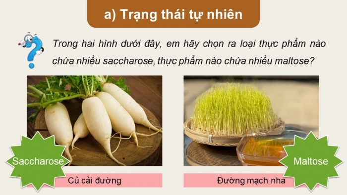 Giáo án điện tử Hoá học 12 chân trời Bài 4: Saccharose và maltose