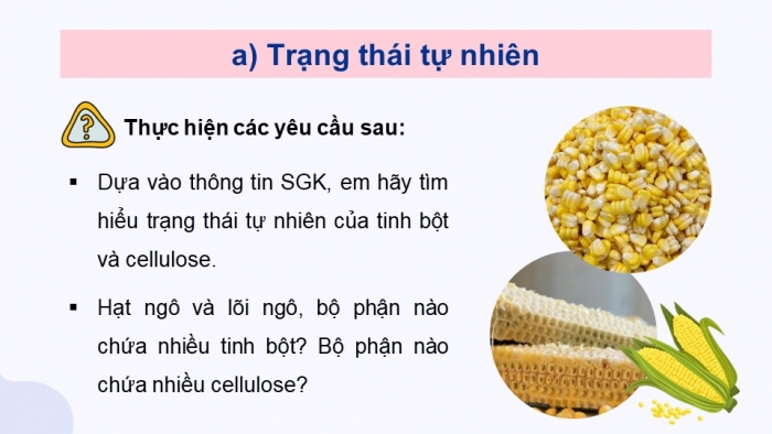 Giáo án điện tử Hoá học 12 chân trời Bài 5: Tinh bột và cellulose