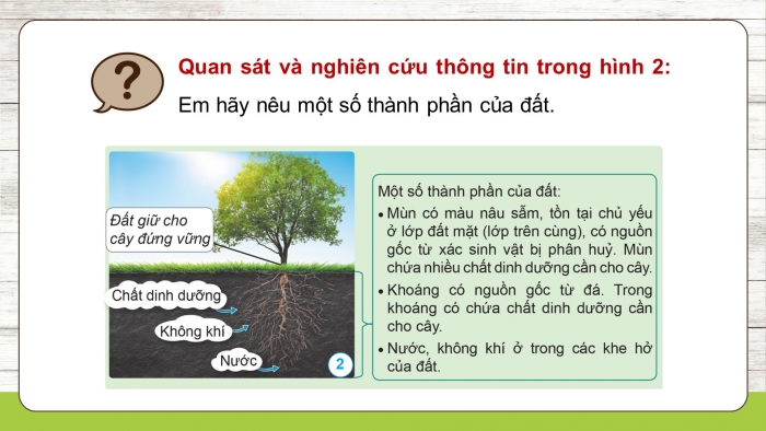 Giáo án điện tử Khoa học 5 cánh diều Bài 1: Đất và bảo vệ môi trường đất