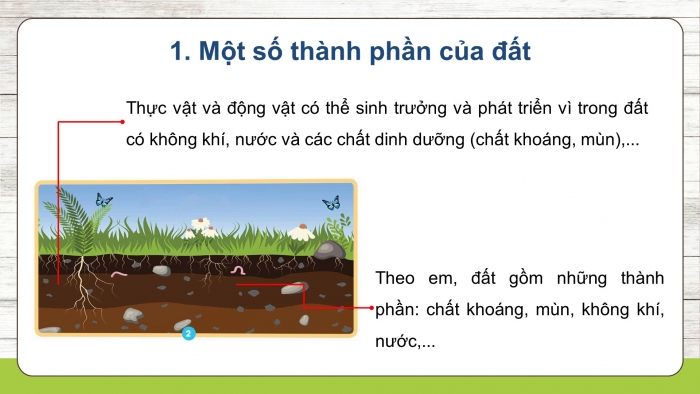 Giáo án điện tử Khoa học 5 chân trời Bài 1: Thành phần và vai trò của đất