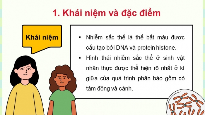 Giáo án điện tử KHTN 9 cánh diều - Phân môn Sinh học Bài 35: Nhiễm sắc thể và bộ nhiễm sắc thể