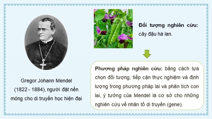 Giáo án điện tử KHTN 9 chân trời - Phân môn Sinh học Bài 36: Các quy luật di truyền của Mendel