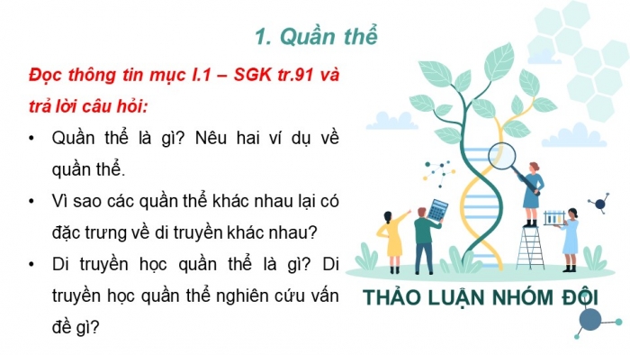 Giáo án và PPT đồng bộ Sinh học 12 kết nối tri thức