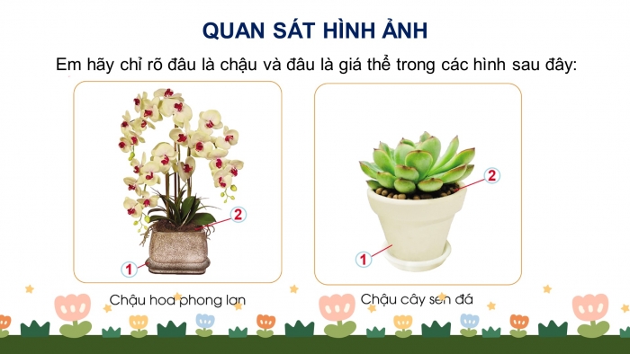 Giáo án và PPT đồng bộ Công nghệ 4 cánh diều