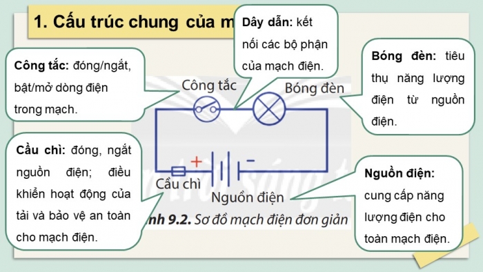 Giáo án và PPT đồng bộ Công nghệ 8 chân trời sáng tạo