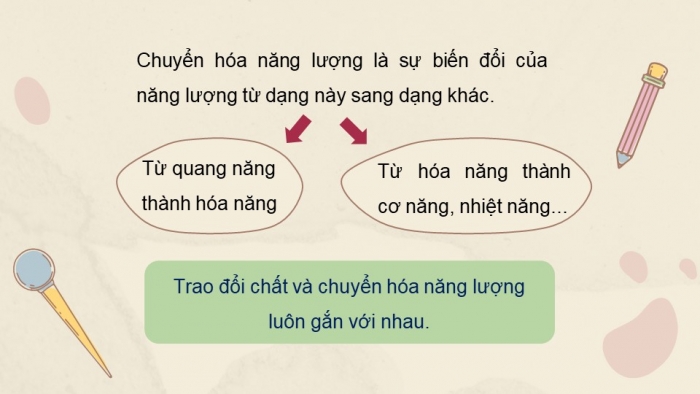 Giáo án và PPT đồng bộ Khoa học tự nhiên 7 kết nối tri thức