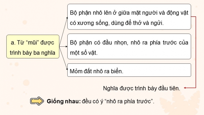 Giáo án điện tử Tiếng Việt 5 chân trời Bài 5: Từ đa nghĩa