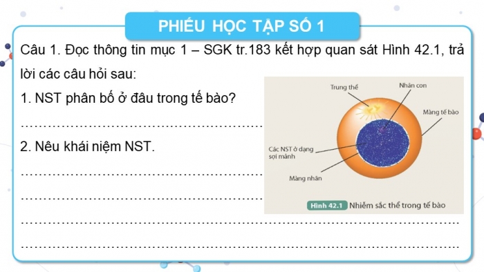 Giáo án và PPT đồng bộ Khoa học tự nhiên 9 kết nối tri thức