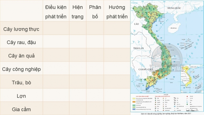 Giáo án điện tử Địa lí 9 kết nối Bài 4: Nông nghiệp (bổ sung)