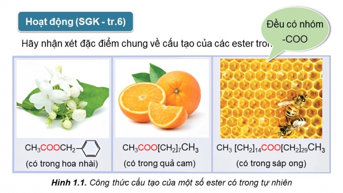 Giáo án điện tử Hoá học 12 kết nối Bài 1: Ester - Lipid