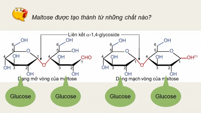 Giáo án điện tử Hoá học 12 kết nối Bài 5: Saccharose và maltose