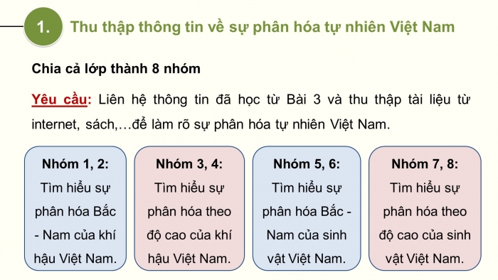 Giáo án điện tử Địa lí 12 cánh diều Bài 4: Thực hành Trình bày báo cáo về sự phân hóa tự nhiên Việt Nam