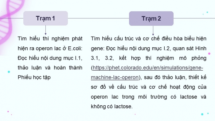 Giáo án điện tử Sinh học 12 kết nối Bài 3: Điều hoà biểu hiện gene