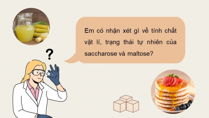 Giáo án điện tử Hoá học 12 chân trời Bài 4: Saccharose và maltose