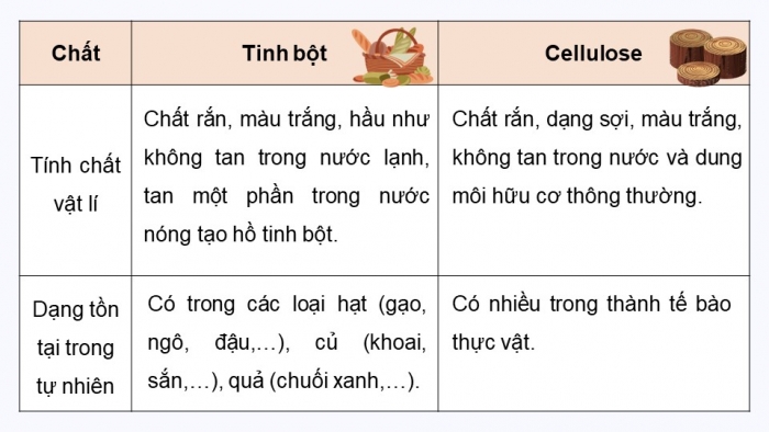 Giáo án điện tử Hoá học 12 chân trời Bài 5: Tinh bột và cellulose