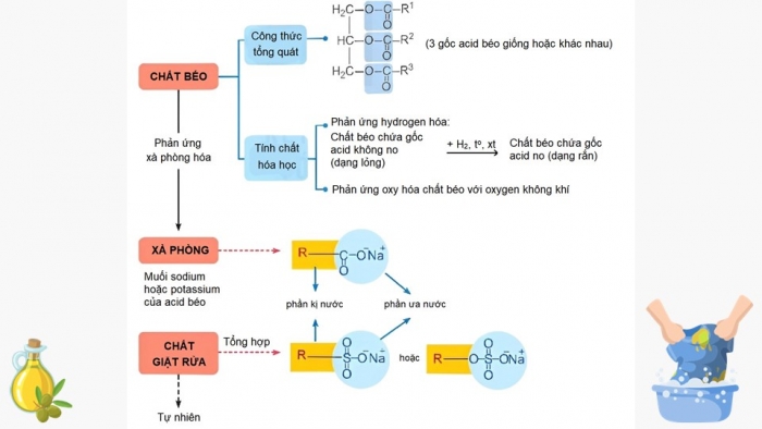 Giáo án điện tử Hóa học 12 chân trời bài: Ôn tập chương 1, 2