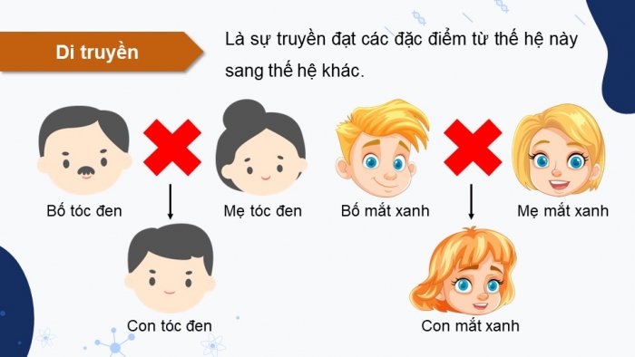 Giáo án điện tử KHTN 9 chân trời - Phân môn Sinh học Bài 35: Khái quát về di truyền học