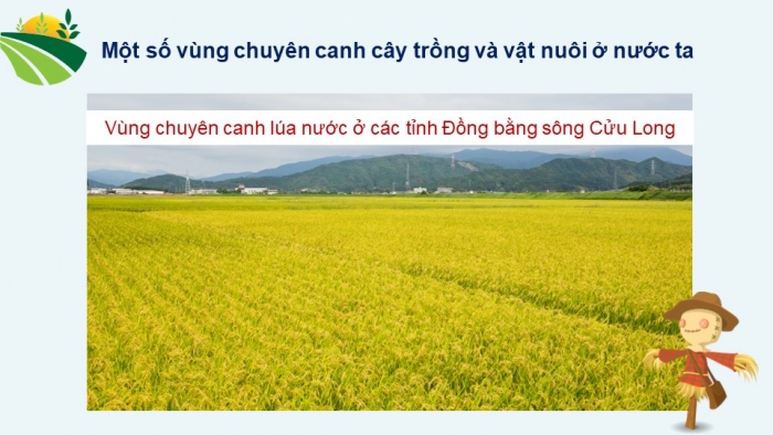 Giáo án điện tử Địa lí 12 kết nối Bài 2: Thiên nhiên nhiệt đới ẩm gió mùa (bổ sung)