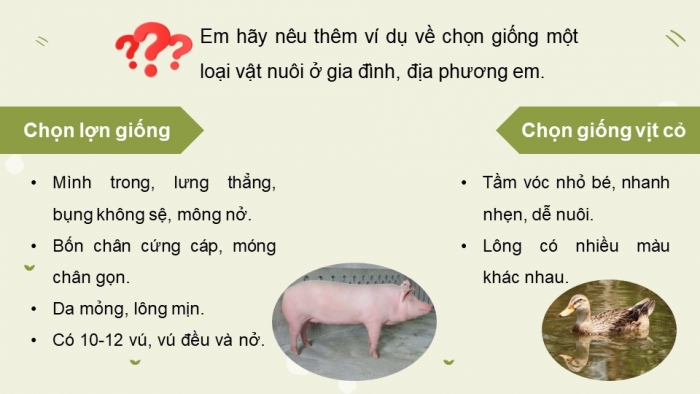 Giáo án và PPT đồng bộ Công nghệ 11 Công nghệ chăn nuôi Cánh diều