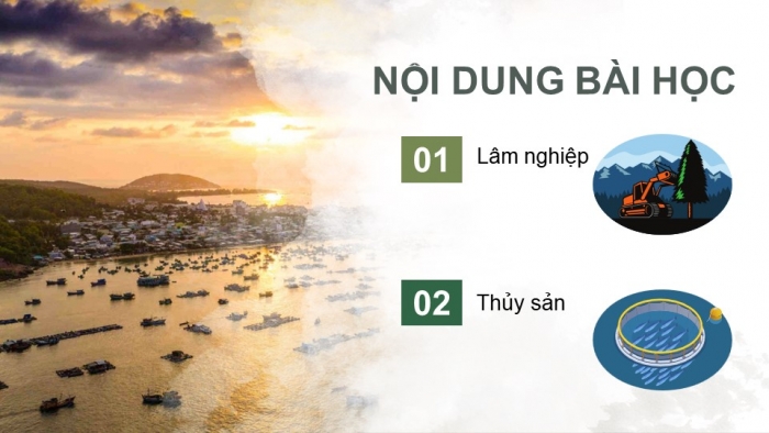 Giáo án điện tử Địa lí 9 kết nối Bài 5: Lâm nghiệp và thủy sản