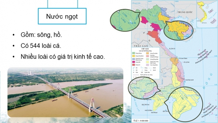 Giáo án điện tử Địa lí 9 kết nối Bài 5: Lâm nghiệp và thủy sản (bổ sung)