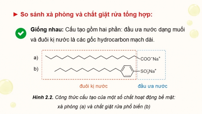 Giáo án điện tử Hoá học 12 kết nối Bài 2: Xà phòng và chất giặt rửa