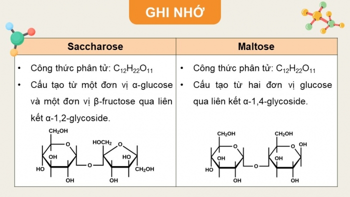 Giáo án điện tử Hoá học 12 kết nối Bài 5: Saccharose và maltose