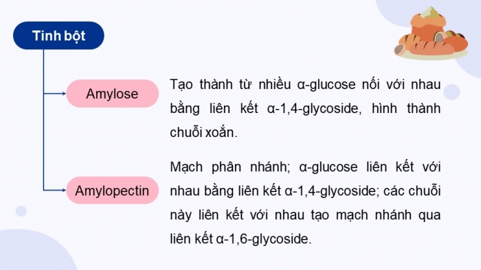 Giáo án điện tử Hoá học 12 kết nối Bài 6: Tinh bột và cellulose