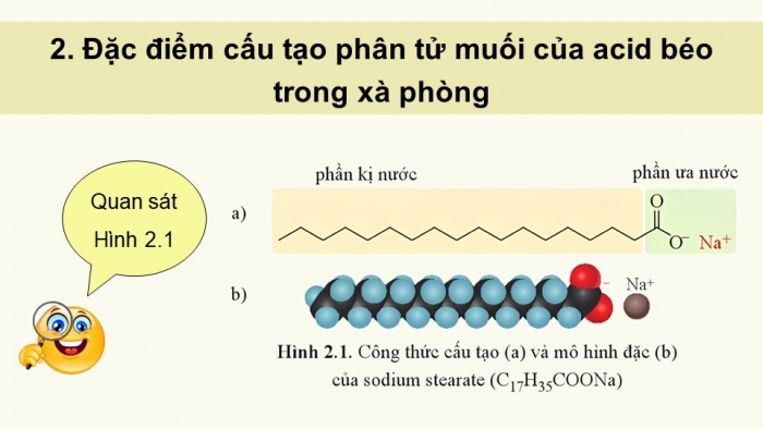 Giáo án điện tử Hóa học 12 cánh diều Bài 2: Xà phòng và chất giặt rửa tổng hợp