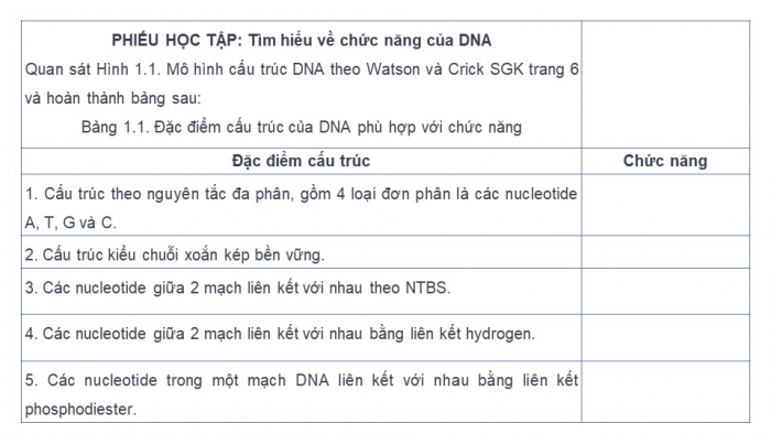 Giáo án điện tử Sinh học 12 kết nối Bài 1: DNA và cơ chế tái bản DNA