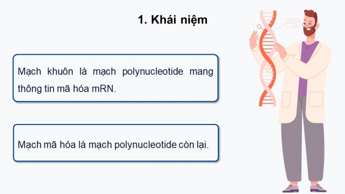 Giáo án điện tử Sinh học 12 kết nối Bài 2: Gene, quá trình truyền đạt thông tin di truyền và hệ gene