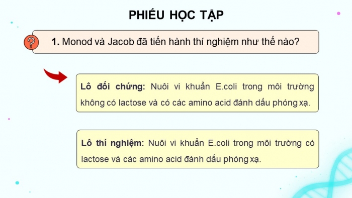 Giáo án điện tử Sinh học 12 kết nối Bài 3: Điều hoà biểu hiện gene