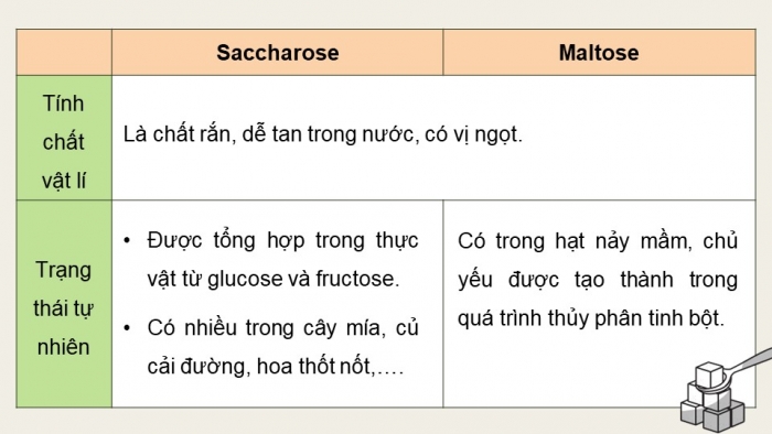 Giáo án điện tử Hoá học 12 chân trời Bài 4: Saccharose và maltose