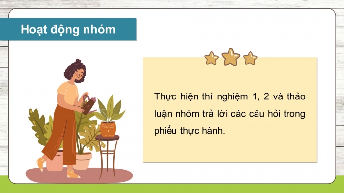 Giáo án điện tử Khoa học 5 chân trời Bài 1: Thành phần và vai trò của đất