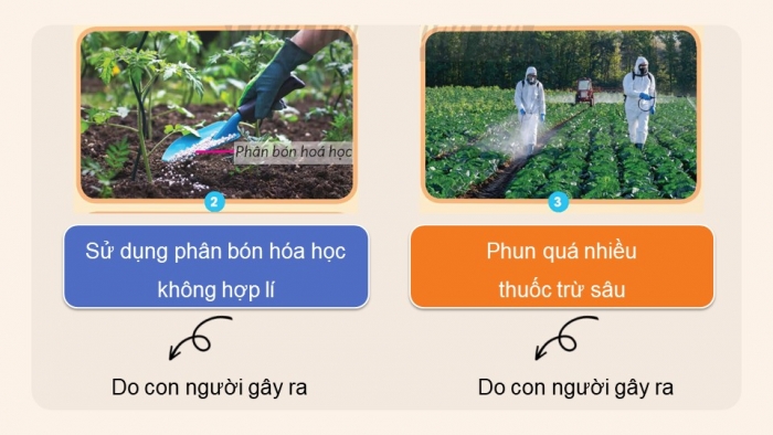 Giáo án điện tử Khoa học 5 chân trời Bài 2: Ô nhiễm, xói mòn đất và bảo vệ môi trường đất