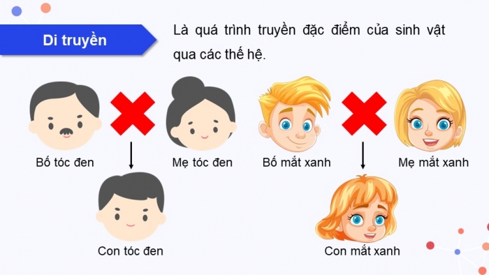 Giáo án điện tử KHTN 9 cánh diều - Phân môn Sinh học Bài 33: Gene là trung tâm của di truyền học