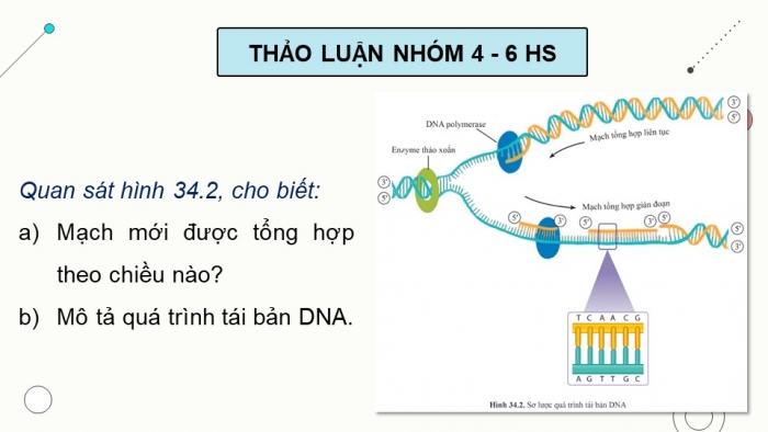 Giáo án điện tử KHTN 9 cánh diều - Phân môn Sinh học Bài 34: Từ gene đến tính trạng