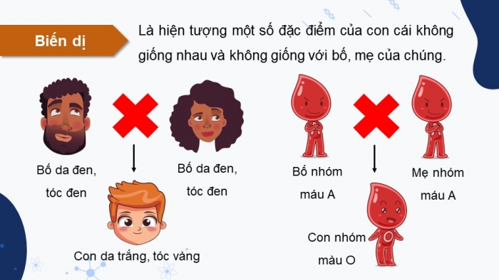 Giáo án điện tử KHTN 9 chân trời - Phân môn Sinh học Bài 35: Khái quát về di truyền học